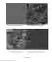 Fig. 15 - Controlled release of biological entities