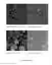 Fig. 16 - Controlled release of biological entities
