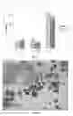 Fig. 34 - Controlled release of biological entities