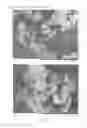 Fig. 03 - Wet granulation process and granulate material comprising Arabic gum