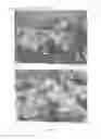 Fig. 05 - Wet granulation process and granulate material comprising Arabic gum