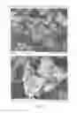 Fig. 07 - Wet granulation process and granulate material comprising Arabic gum