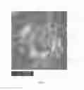 Fig. 08 - Wet granulation process and granulate material comprising Arabic gum