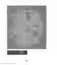 Fig. 09 - Wet granulation process and granulate material comprising Arabic gum