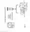Fig. 02 - ADIPOSE STROMAL VASCULAR FRACTION-CONDITIONED MEDIUM