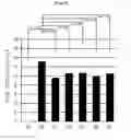 Fig. 07 - COMPOSITION FOR PREVENTING OR TREATING COLITIS COMPRISING S-ALLYL-L-CYSTEINE AS ACTIVE INGREDIENT, AND MEDICAL PREPARATION COMPRISING SAME