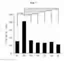Fig. 08 - COMPOSITION FOR PREVENTING OR TREATING COLITIS COMPRISING S-ALLYL-L-CYSTEINE AS ACTIVE INGREDIENT, AND MEDICAL PREPARATION COMPRISING SAME
