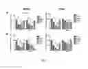 Fig. 07 - METHOD AND PHARMACEUTICAL COMPOSITION FOR LIVER FIBROSIS PREVENTION AND/OR TREATMENT