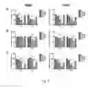 Fig. 09 - METHOD AND PHARMACEUTICAL COMPOSITION FOR LIVER FIBROSIS PREVENTION AND/OR TREATMENT