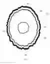 Fig. 09 - Device and method for making an irregular dough product