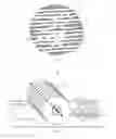 Fig. 11 - Device and method for making an irregular dough product