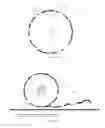 Fig. 12 - Device and method for making an irregular dough product