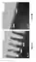 Fig. 03 - Atomic layer deposition of films comprising silicon, carbon and nitrogen using halogenated silicon precursors