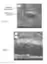 Fig. 06 - Photosintering of micron-sized copper particles
