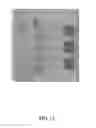 Fig. 10 - Photosintering of micron-sized copper particles