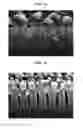 Fig. 10 - PLASMA ENHANCED VAPOR PHASE DEPOSITION