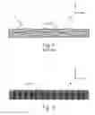 Fig. 02 - Fire resistant panel including vertically oriented fire retardant treated fibers and an adaptive covering material