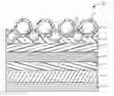 Fig. 01 - Decorative sheet