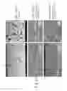 Fig. 12 - THERMAL BARRIER COATING AND ARTICLE COMPRISING SAME