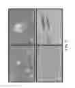Fig. 06 - Method for aligning high aspect ratio materials and compositions therefrom