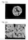 Fig. 03 - CERMET POWDER