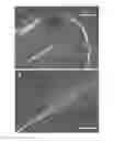 Fig. 01 - Nanofiber ribbons and sheets and fabrication and application thereof