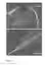 Fig. 03 - Nanofiber ribbons and sheets and fabrication and application thereof