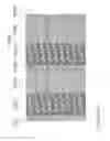 Fig. 109 - Nanofiber ribbons and sheets and fabrication and application thereof