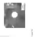 Fig. 37 - Nanofiber ribbons and sheets and fabrication and application thereof