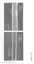 Fig. 53 - Nanofiber ribbons and sheets and fabrication and application thereof
