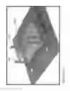 Fig. 63 - Nanofiber ribbons and sheets and fabrication and application thereof