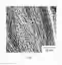 Fig. 02 - FIBROUS COPPER MICROPARTICLES AND METHOD FOR MANUFACTURING SAME