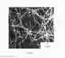Fig. 06 - FIBROUS COPPER MICROPARTICLES AND METHOD FOR MANUFACTURING SAME