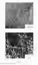 Fig. 07 - FIBROUS COPPER MICROPARTICLES AND METHOD FOR MANUFACTURING SAME