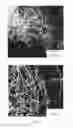 Fig. 08 - FIBROUS COPPER MICROPARTICLES AND METHOD FOR MANUFACTURING SAME