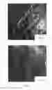 Fig. 09 - FIBROUS COPPER MICROPARTICLES AND METHOD FOR MANUFACTURING SAME