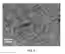 Fig. 07 - Bulk monolithic nano-heterostructures and method of making the same