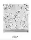 Fig. 10 - Corrosion resistant hardfacing alloy
