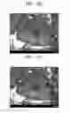 Fig. 06 - Anode active material and a lithium secondary battery including the same