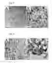 Fig. 03 - Antimony based anode material for rechargeable batteries and preparation method
