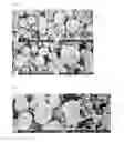 Fig. 04 - Material for lithium secondary battery of high performance