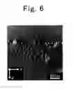 Fig. 06 - Silicon-containing material and secondary-battery active material including silicon-containing material