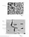 Fig. 02 - Fuel cell interconnect with reduced voltage degradation over time