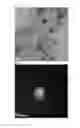 Fig. 07 - HIGHLY FUNCTIONAL COMPOSITE NANOPARTICLES AND METHOD FOR PRODUCING SAME