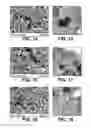 Fig. 09 - Palladium-Based Catalysts for Fuels Electrooxidation Prepared by Sacrificial Support Method