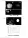 Fig. 06 - Nitride stabilized core/shell nanoparticles