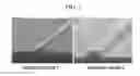 Fig. 03 - Black photosensitive resin composition and light blocking layer using the same