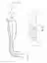 Fig. 13 - Apparatus and methods for filling teeth and root canals