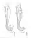 Fig. 15 - Apparatus and methods for filling teeth and root canals