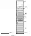 Fig. 09 - Pile Manipulation Game
